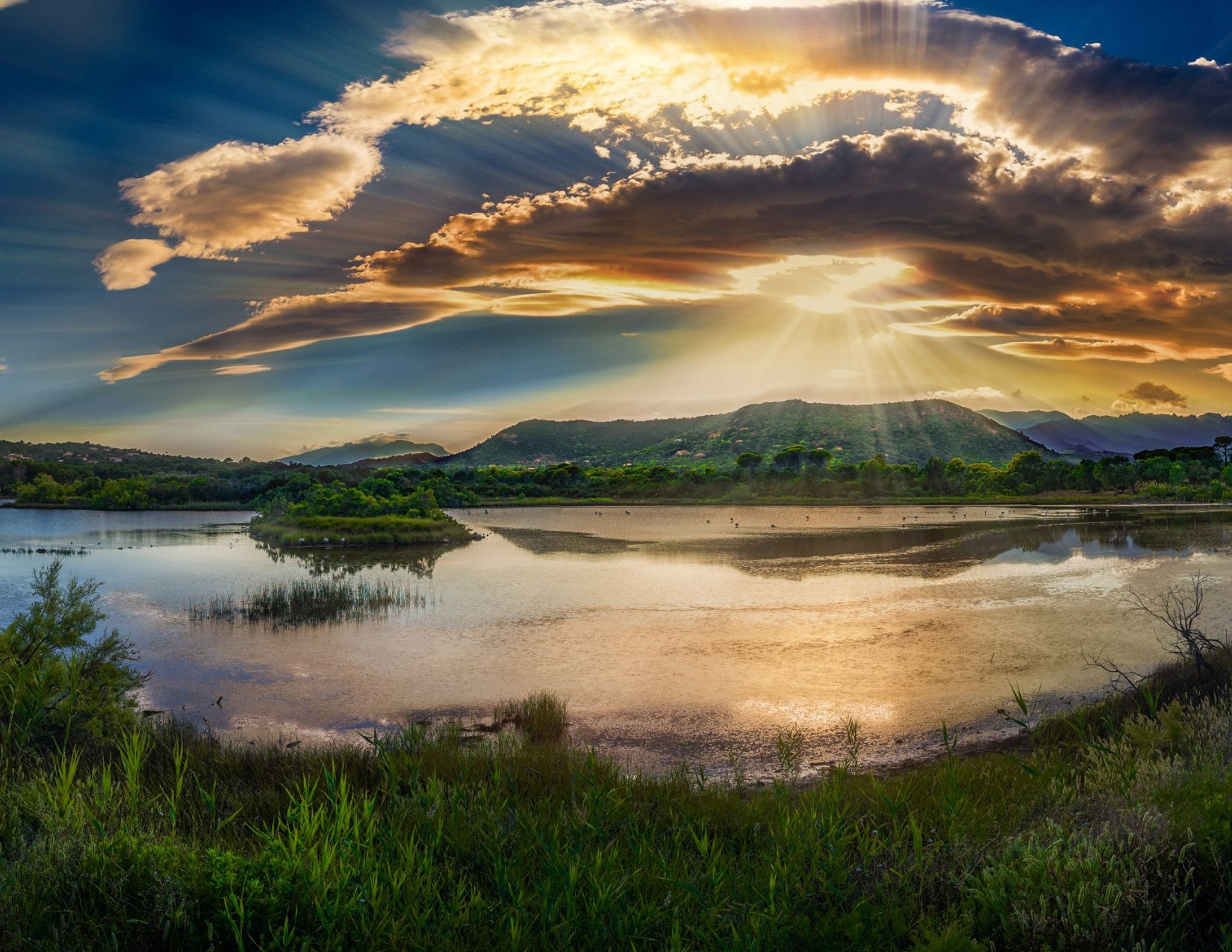 Golden sunrise over a quiet landscape, symbolizing a fresh start and new mercies each morning at the beginning of the school year.